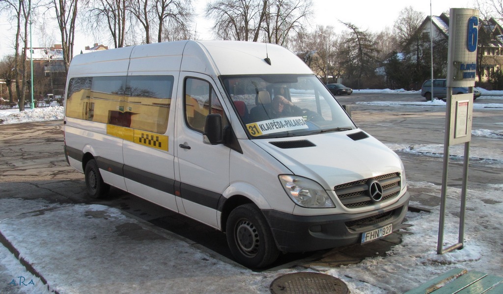 Литва, Mercedes-Benz Sprinter W906 311CDI № 08