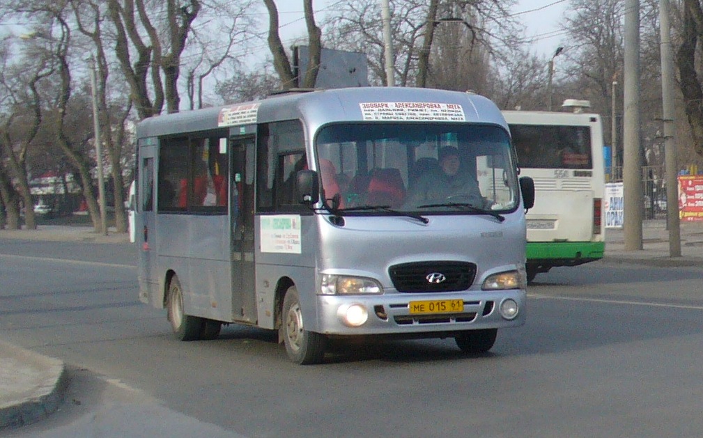 Ростовская область, Hyundai County LWB C11 (ТагАЗ) № 004