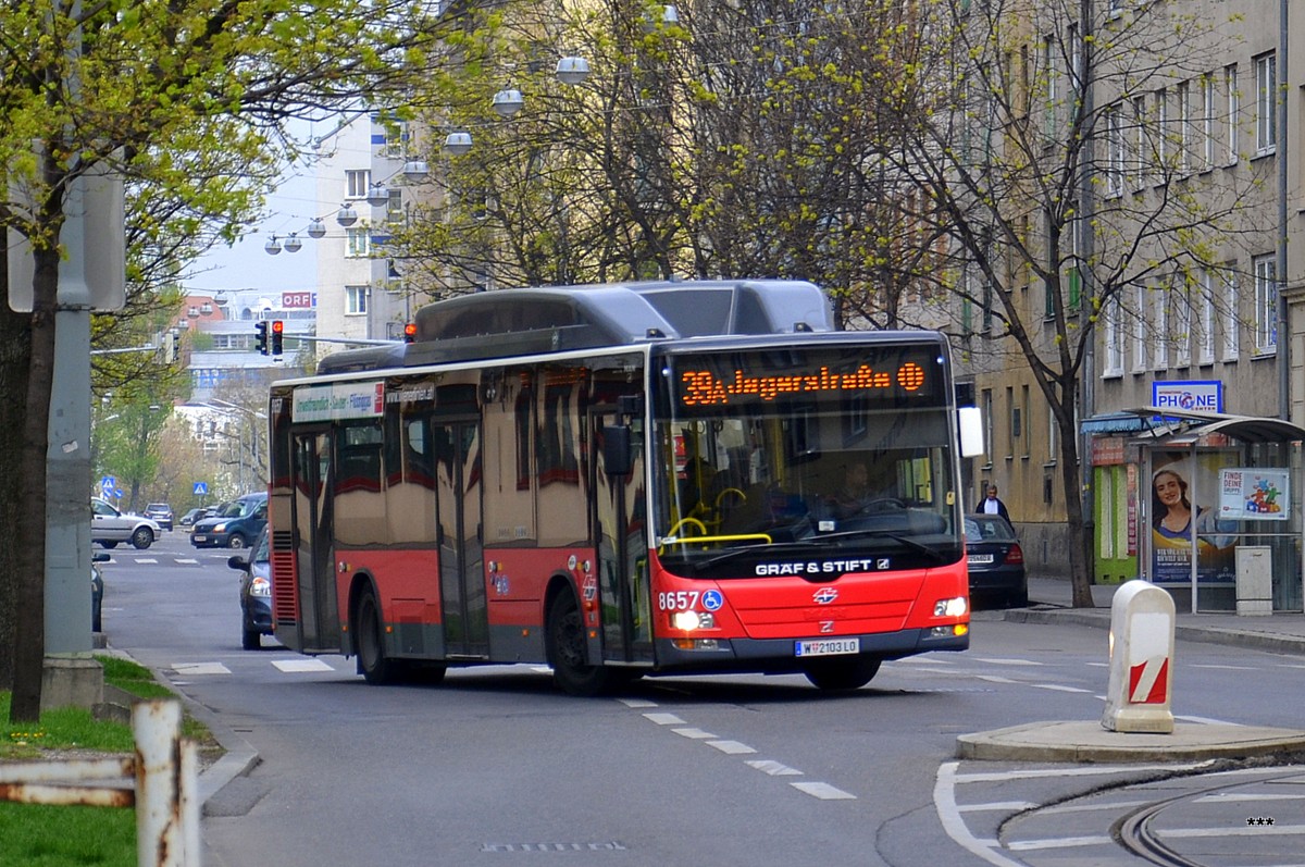 Австрия, MAN A21 Lion's City NL273 LPG № 8657