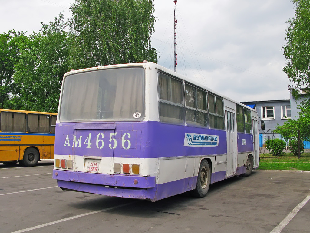 Брестская область, Ikarus 260.43 № 20206