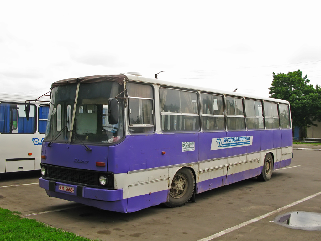 Брестская область, Ikarus 260.43 № 20206