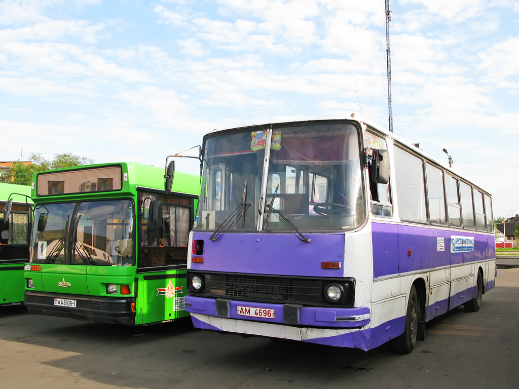 Маршрут городских автобусов пинска. Пинский Автобусный парк автобус ман. Пинск Западный микрорайон.