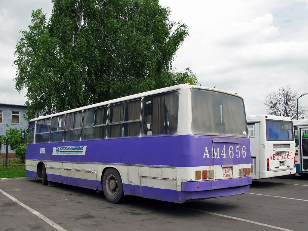 Брестская область, Ikarus 260.43 № 20206