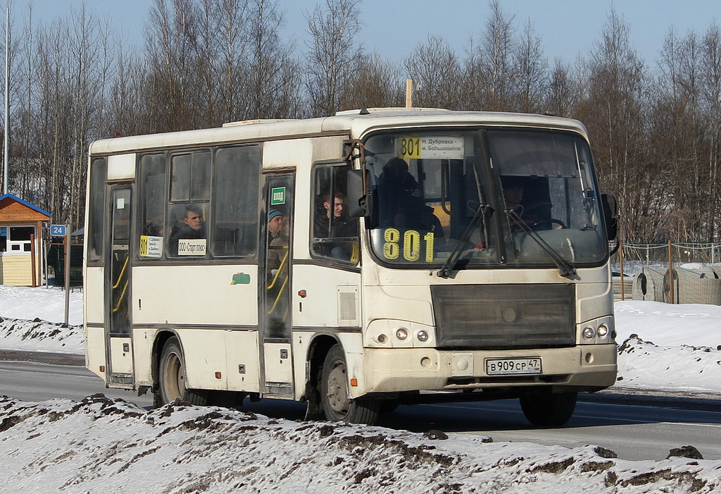 Ленинградская область, ПАЗ-320402-03 № В 909 СР 47