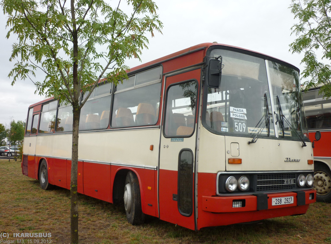 Чехия, Ikarus 256.55A № 2S8 3000; Венгрия — V. Nemzetközi Ikarus, Csepel és Veteránjármű Találkozó, Polgár (2012)