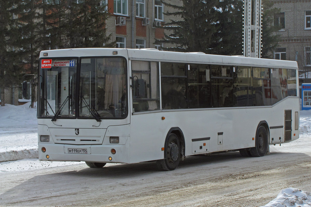 Novosibirsk region, NefAZ-5299-20-15 č. М 119 ЕР 154