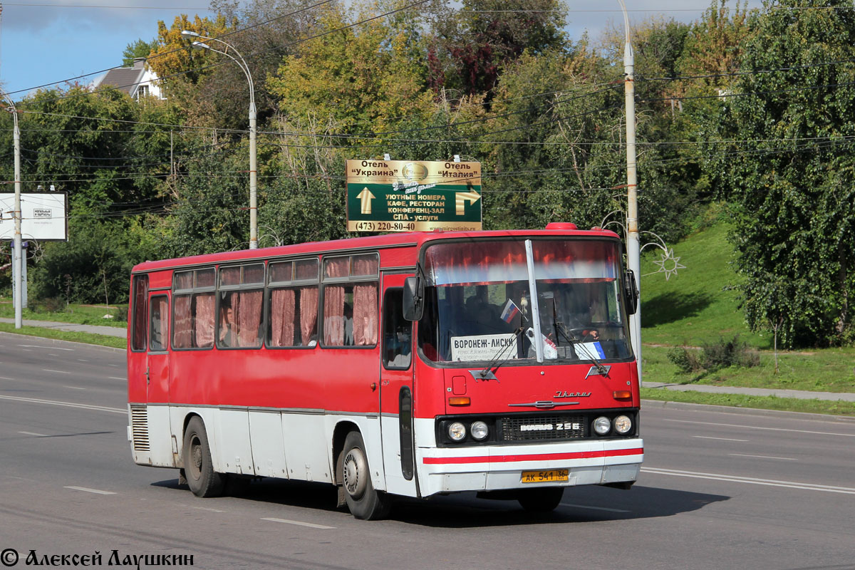 Воронежская область, Ikarus 256.74 № АК 541 36