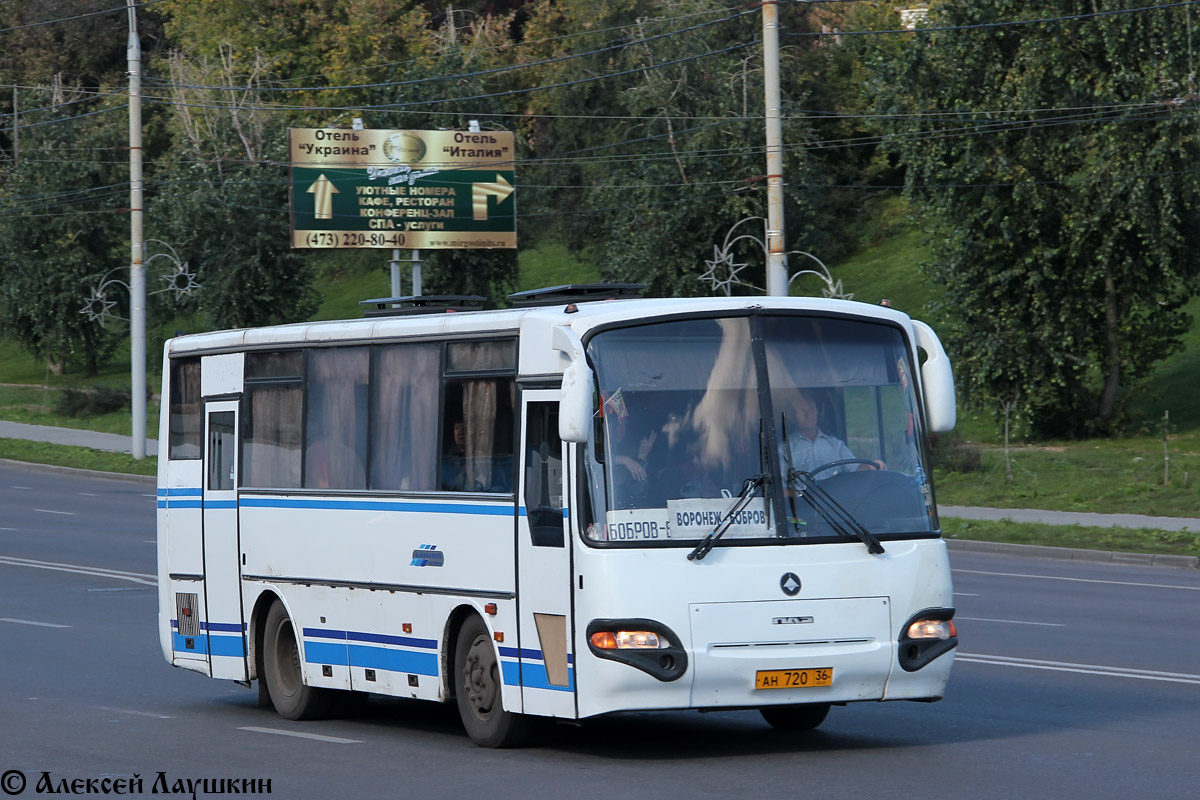 Воронежская область, ПАЗ-4230-02 № АН 720 36