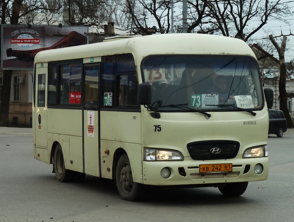 Ростовская область, Hyundai County SWB C08 (РЗГА) № 75