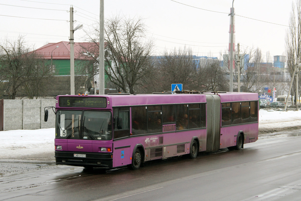 Гомельская область, МАЗ-105.065 № 11850