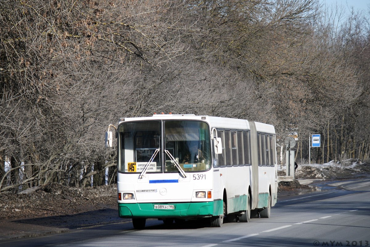 Санкт-Петербург, ЛиАЗ-6212.00 № 5391