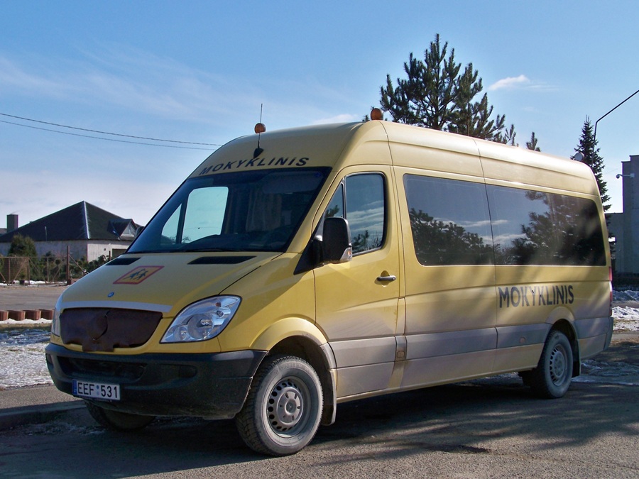 Литва, Mercedes-Benz Sprinter W906 311CDI № EEF 531