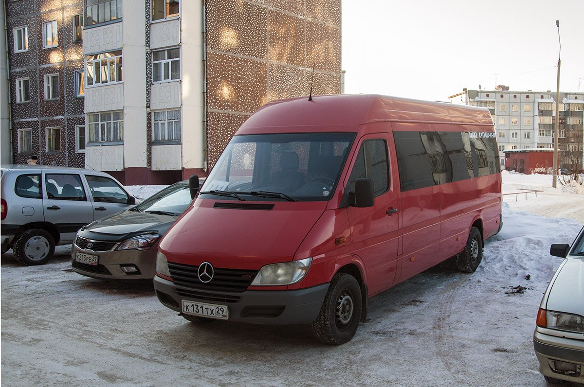 Архангельская область, Mercedes-Benz Sprinter W903 308CDI № К 131 ТХ 29