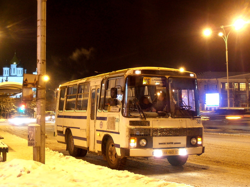 Псковская область, ПАЗ-3205-110 № 389