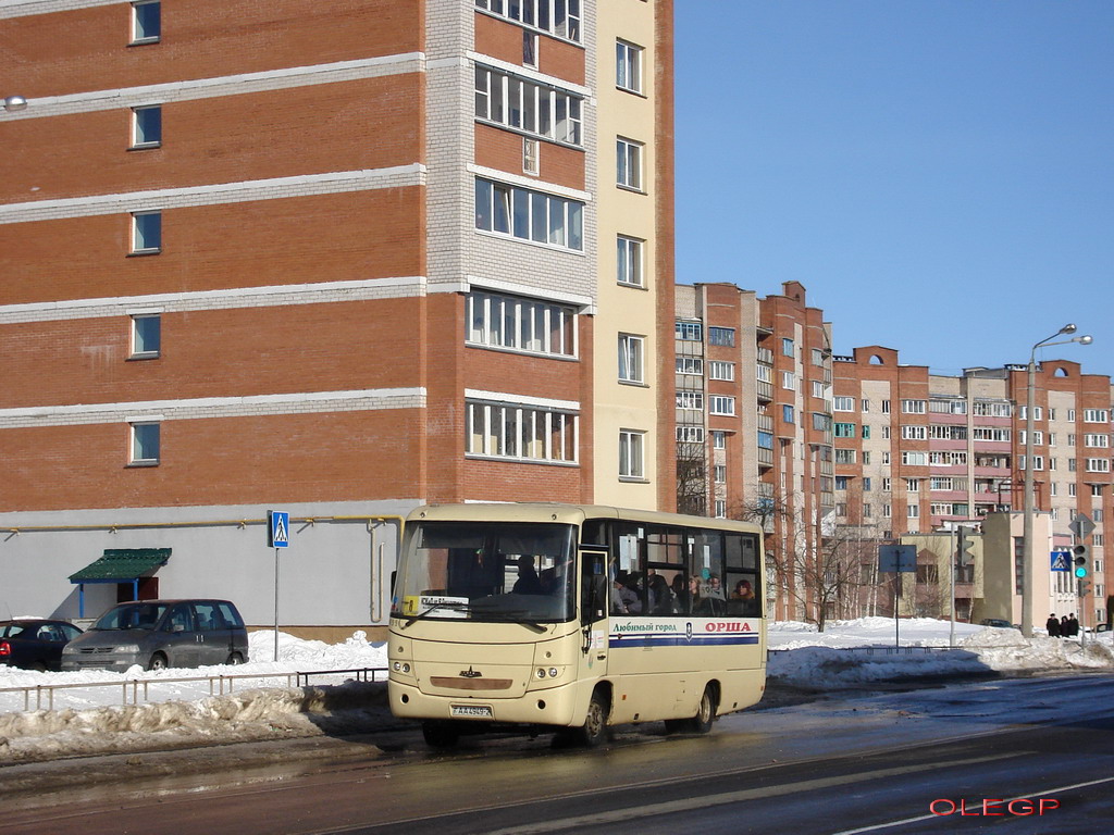 Витебская область, МАЗ-256.200 № 10499