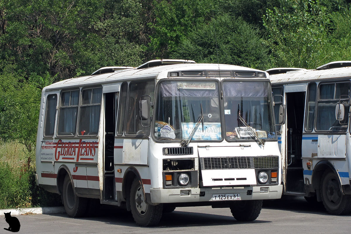 Ростовская область, ПАЗ-3205-110 № Т 125 ЕХ 61