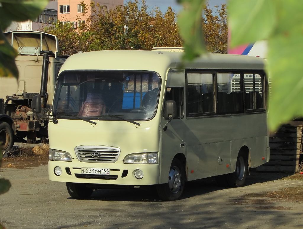 Rostovská oblast, Hyundai County SWB C08 (RZGA) č. Н 231 ОМ 161