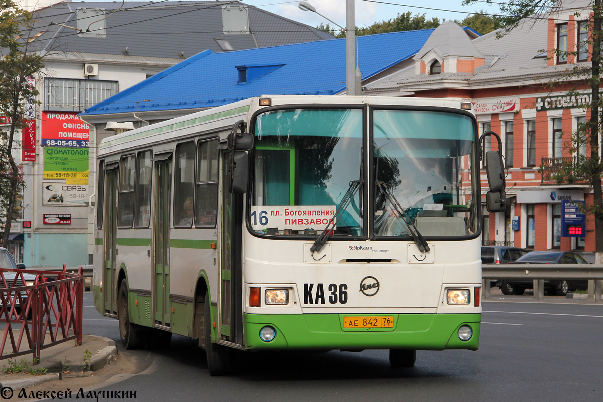 Ярославская область, ЛиАЗ-5256.25 № 36