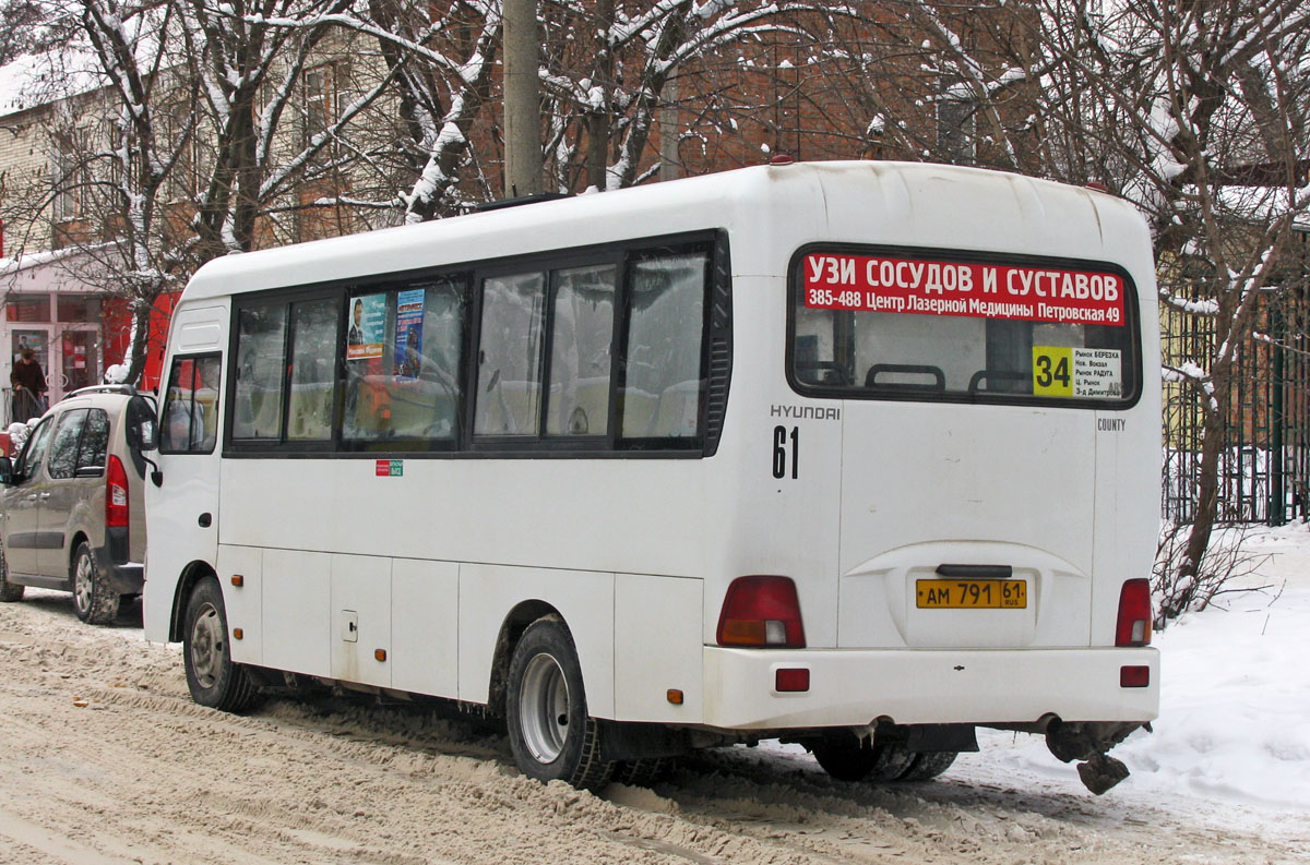 Ростовская область, Hyundai County LWB C09 (ТагАЗ) № 61