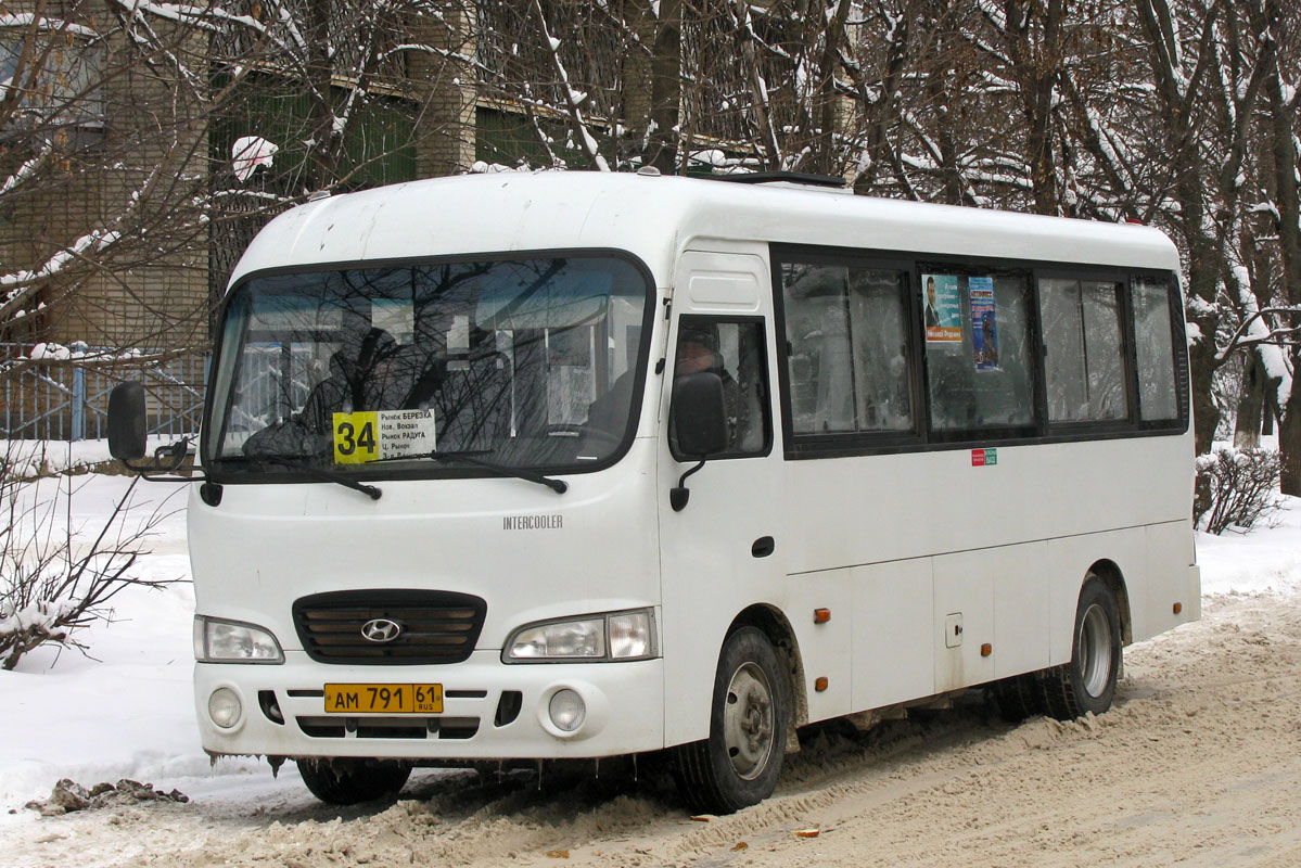 Ростовская область, Hyundai County LWB C09 (ТагАЗ) № 61