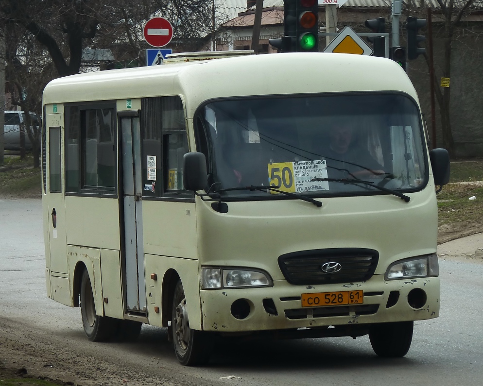 Ростовская область, Hyundai County SWB C08 (РЗГА) № 25