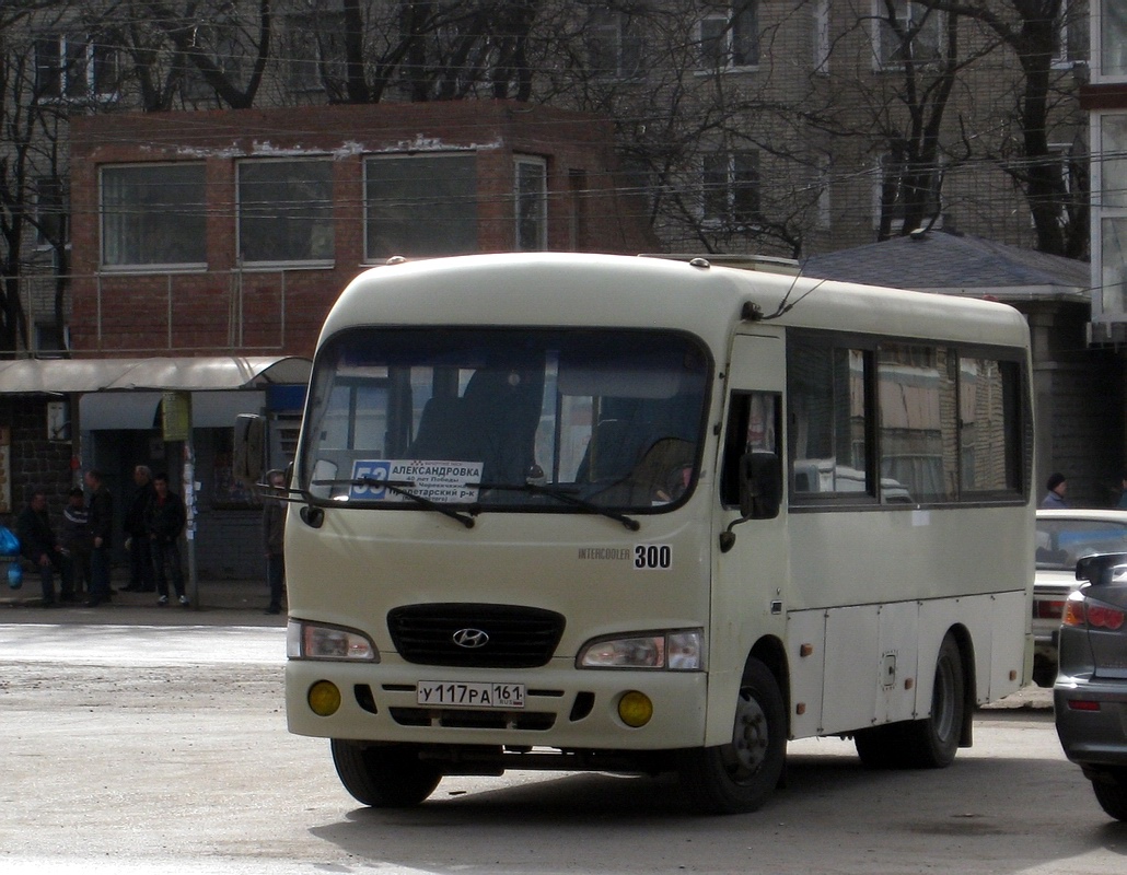 Rostov region, Hyundai County SWB C08 (RZGA) № 300