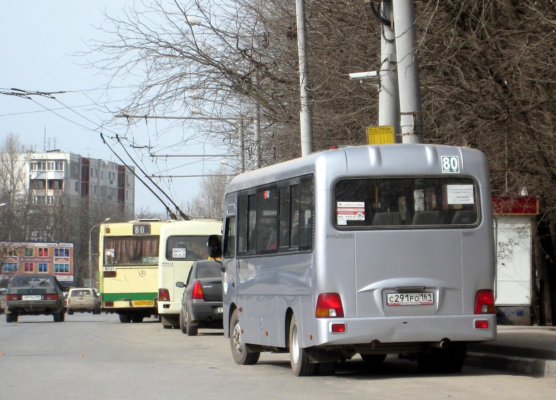 Ростовская область, Hyundai County LWB C11 (ТагАЗ) № 002177