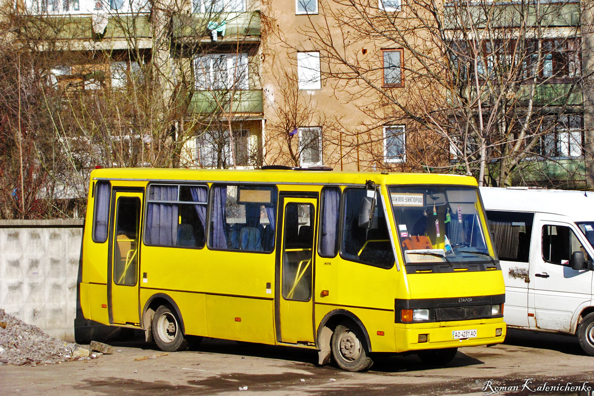 Закарпатская область, БАЗ-А079.14 "Подснежник" № AO 4231 AO