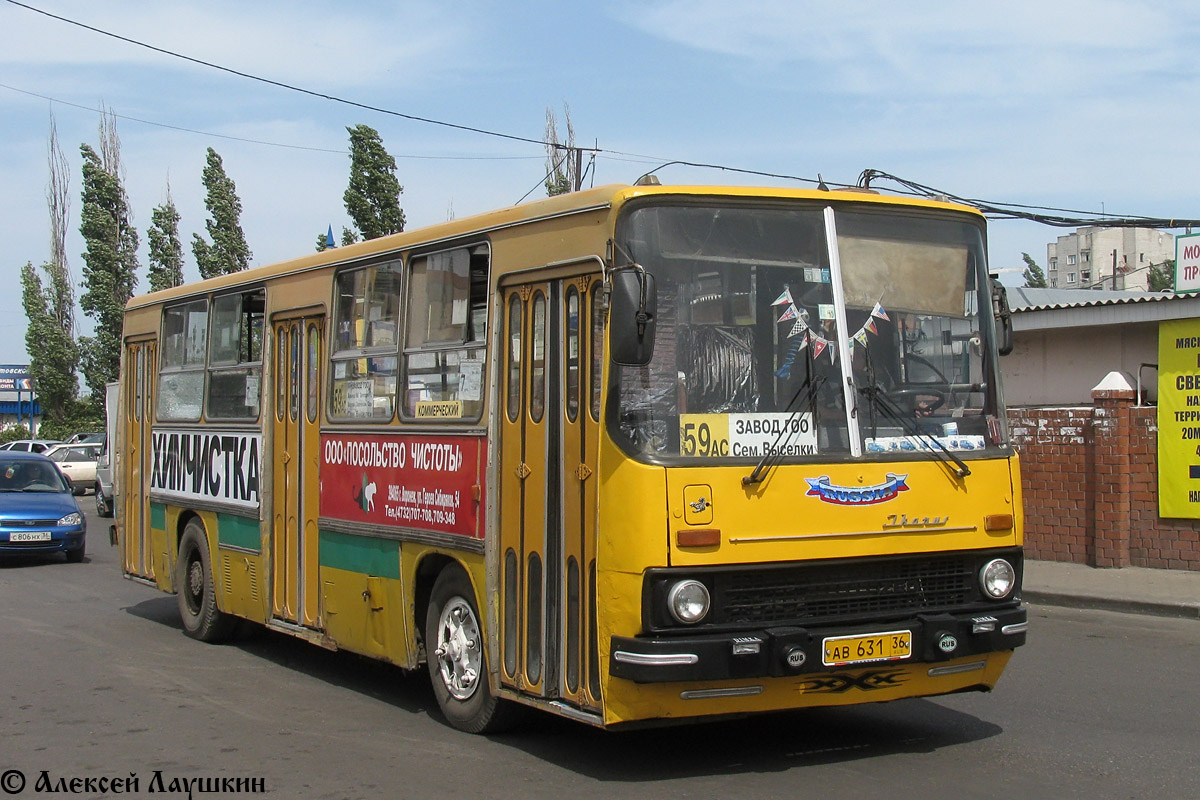 Автобус 59 воронеж репное. Икарус 260 Воронеж. Икарус Воронеж 59б. Икарус 260 желтый. Автобус 59ас Воронеж.