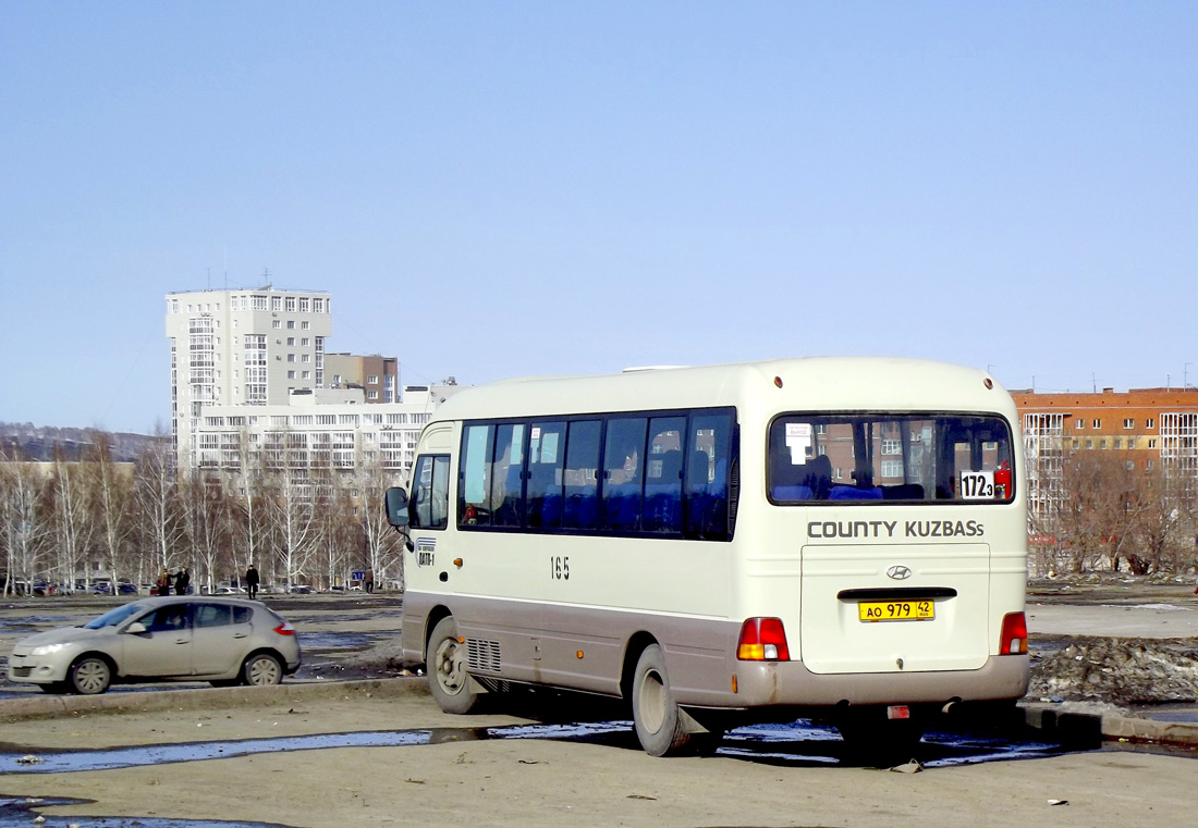 Кемеровская область - Кузбасс, Hyundai County Kuzbass № 165