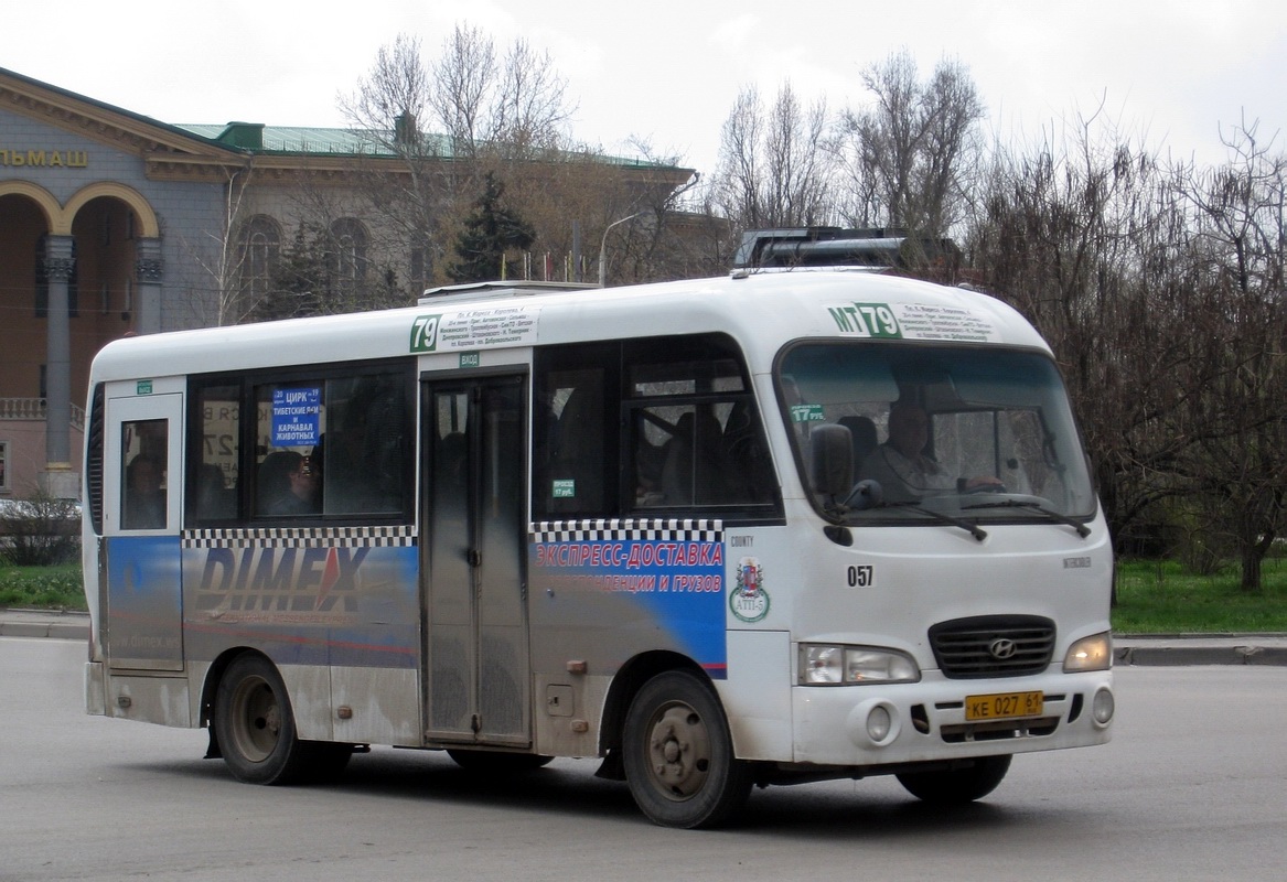 Ростовская область, Hyundai County SWB C08 (ТагАЗ) № 057