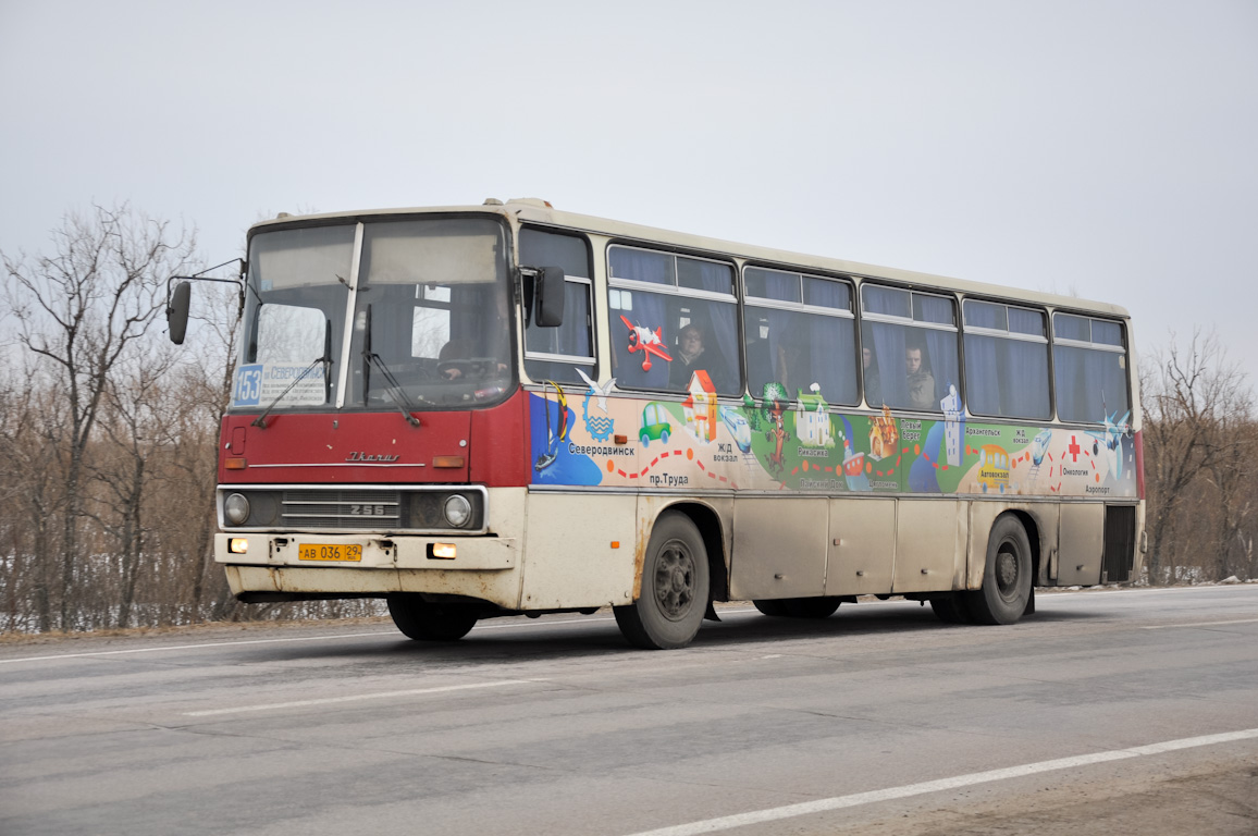 Архангельская область, Ikarus 256.51 № 2288 — Фото — Автобусный транспорт