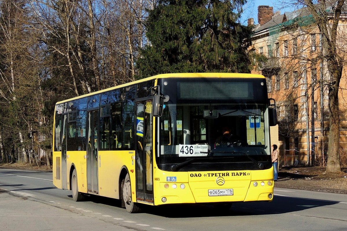 Санкт-Петербург, Golden Dragon XML6125CR № В 065 МУ 178