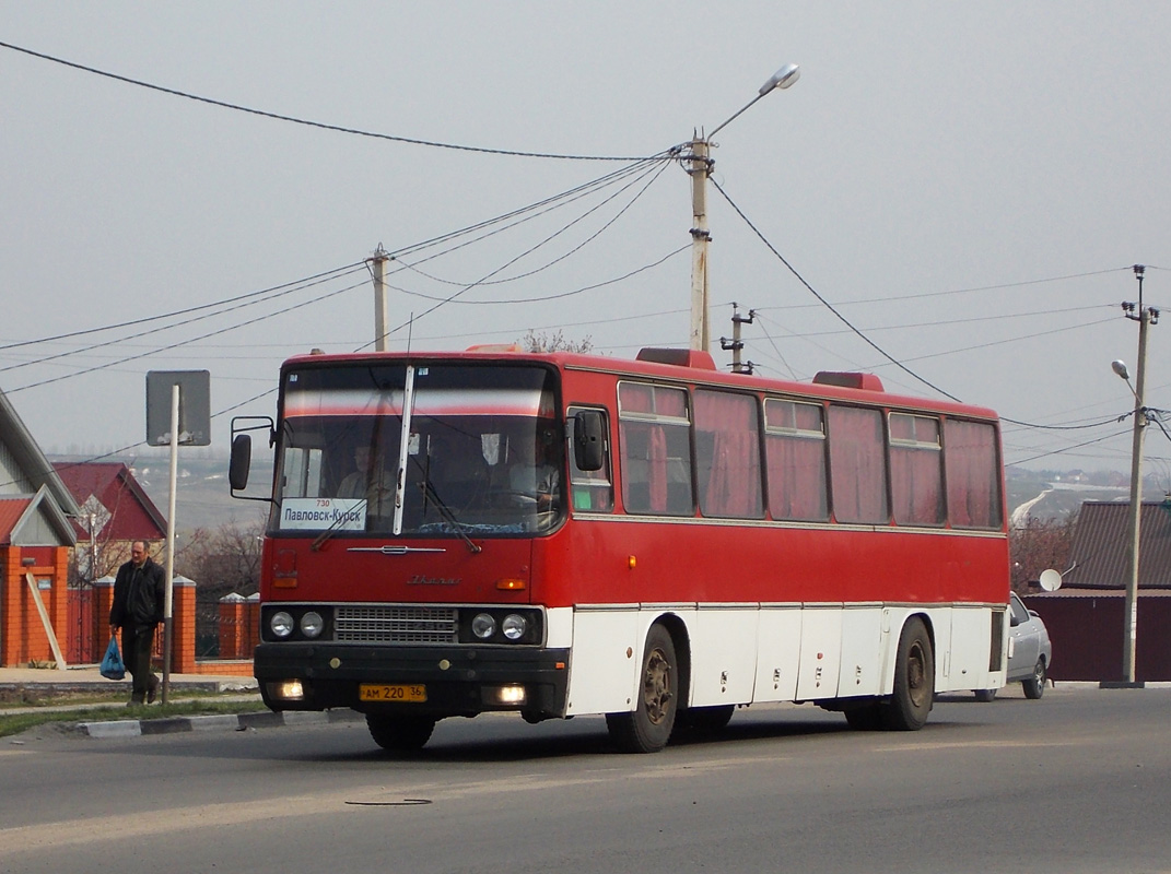 Воронежская область, Ikarus 250.59 № АМ 220 36