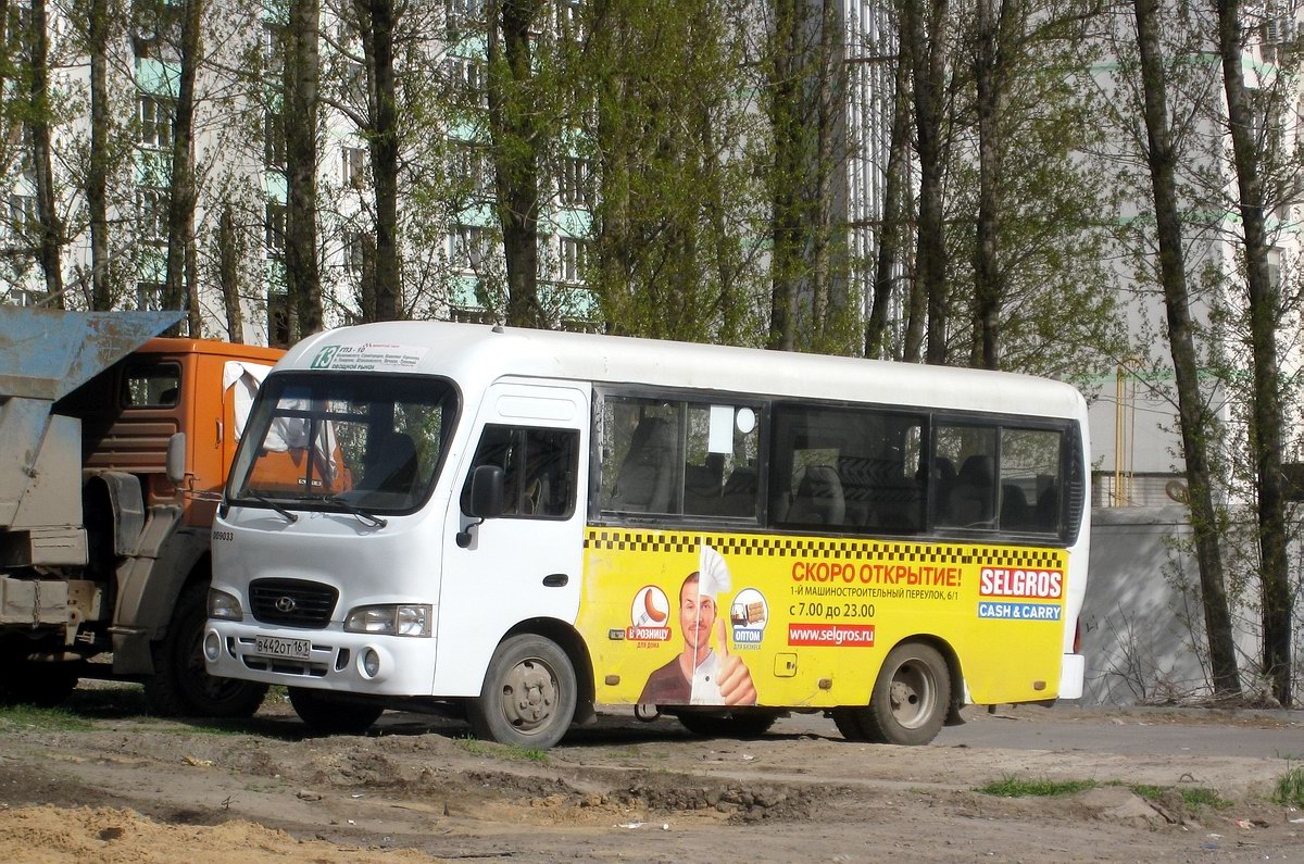 Ростовская область, Hyundai County SWB C08 (РоАЗ) № 009033