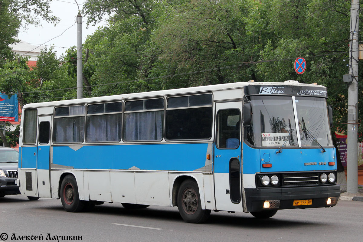 Воронежская область, Ikarus 256.74 № АР 222 36 — Фото — Автобусный транспорт