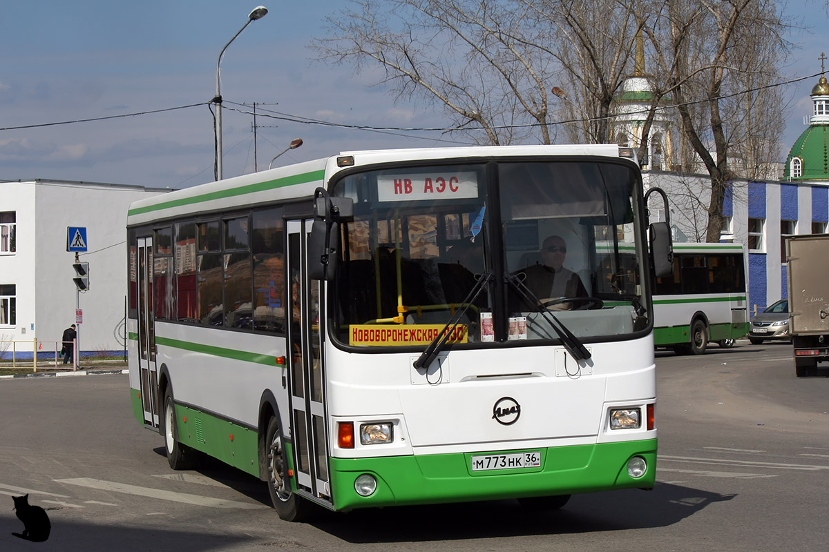 Воронежская область, ЛиАЗ-5256.36-01 № М 773 НК 36