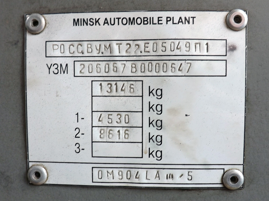 Самарская область, МАЗ-206.067 № 210