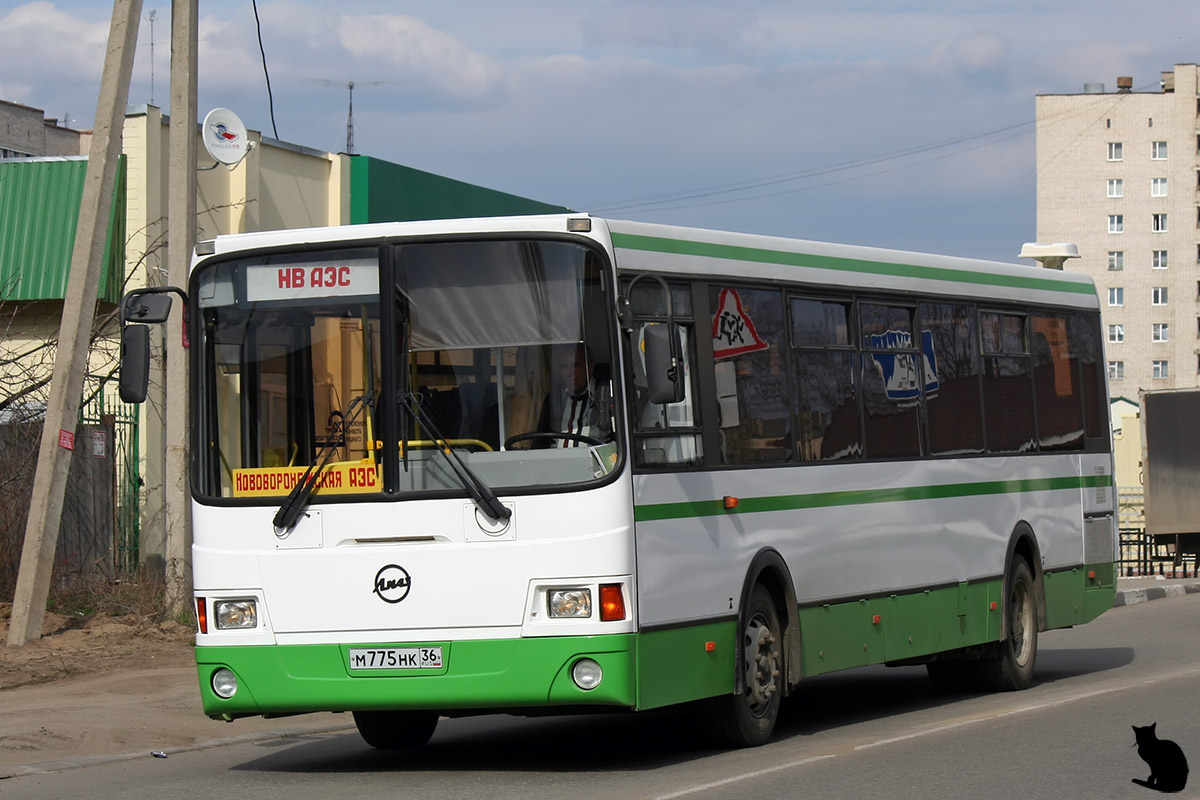 Воронежская область, ЛиАЗ-5256.36-01 № М 775 НК 36