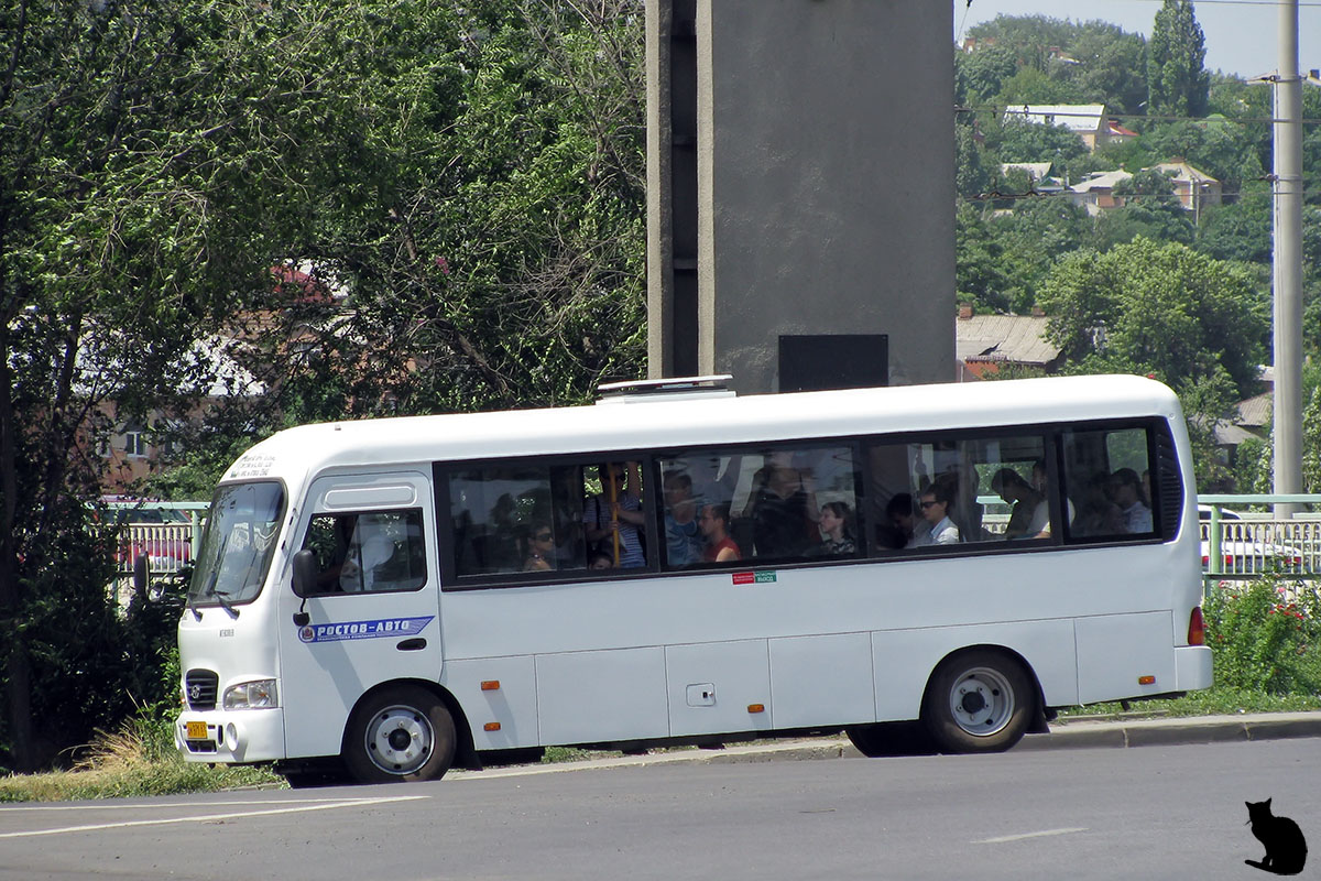 Ростовская область, Hyundai County LWB C09 (ТагАЗ) № 005327