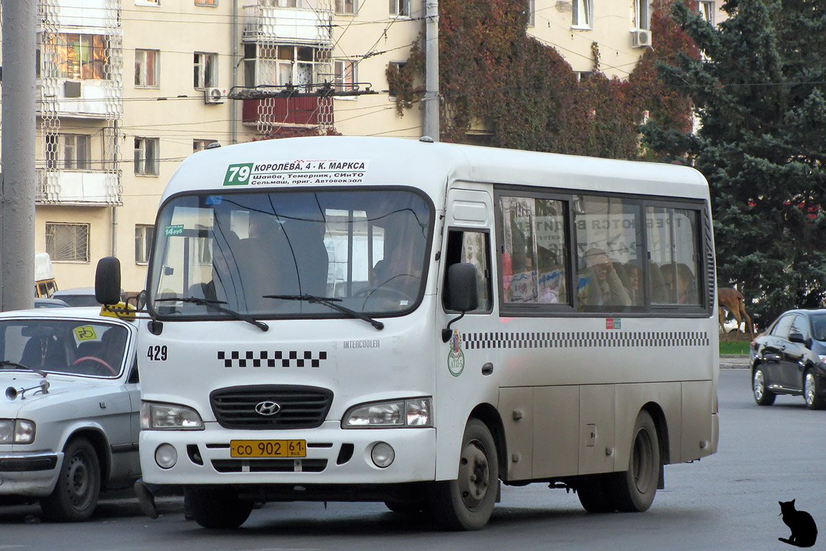 Ростовская область, Hyundai County SWB C08 (РЗГА) № 429