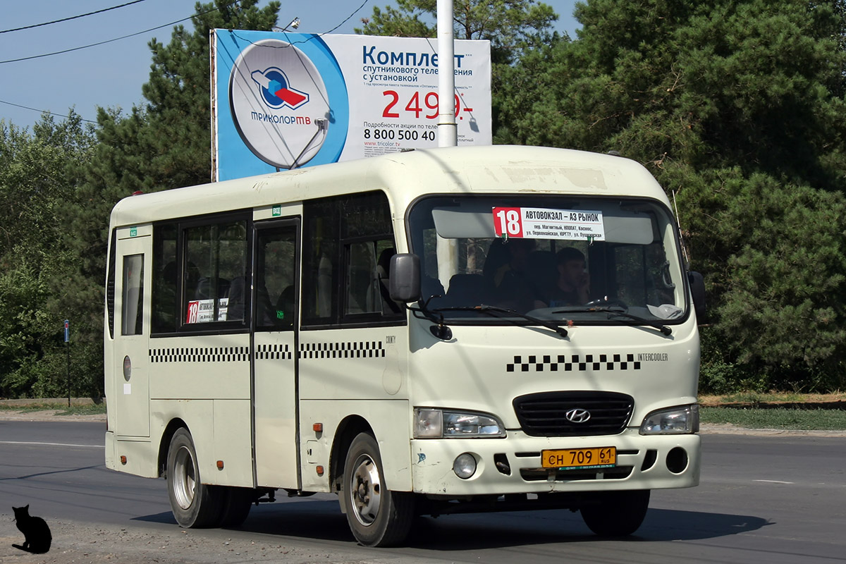 Rostower Gebiet, Hyundai County SWB C08 (RZGA) Nr. СН 709 61