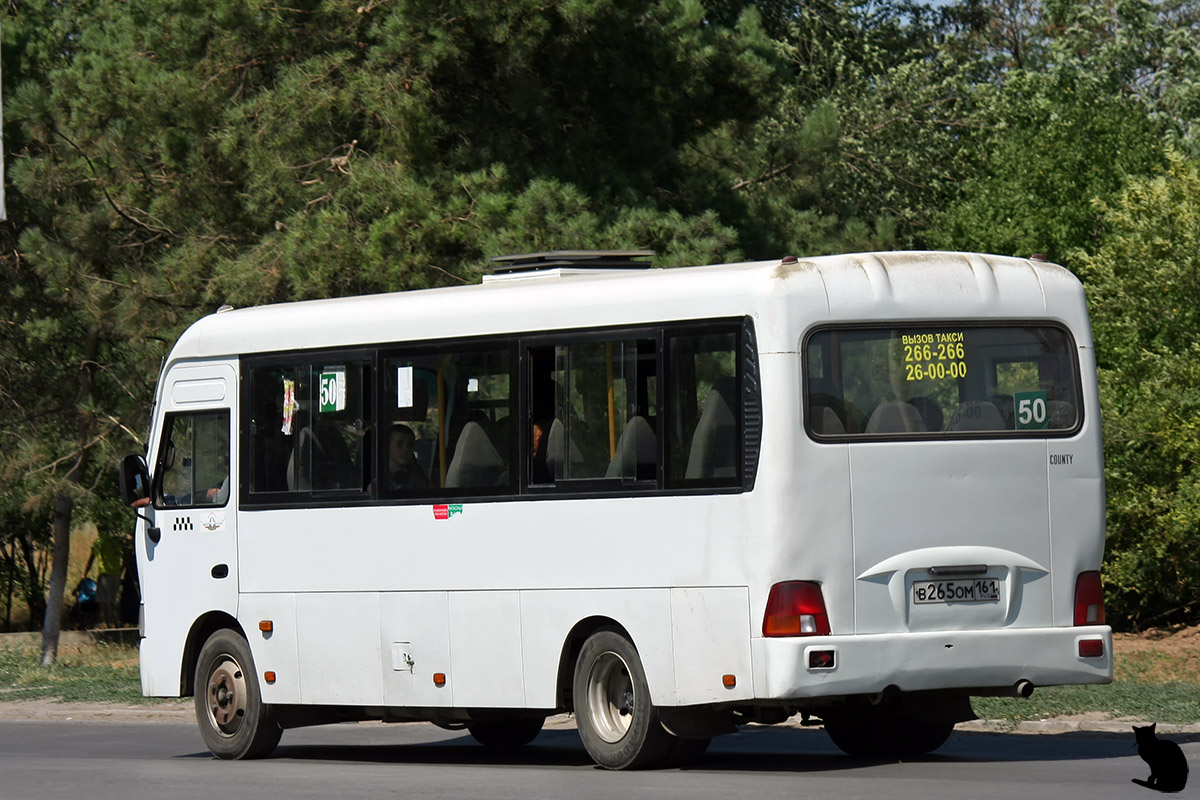 Ростовская область, Hyundai County LWB C11 (ТагАЗ) № 025