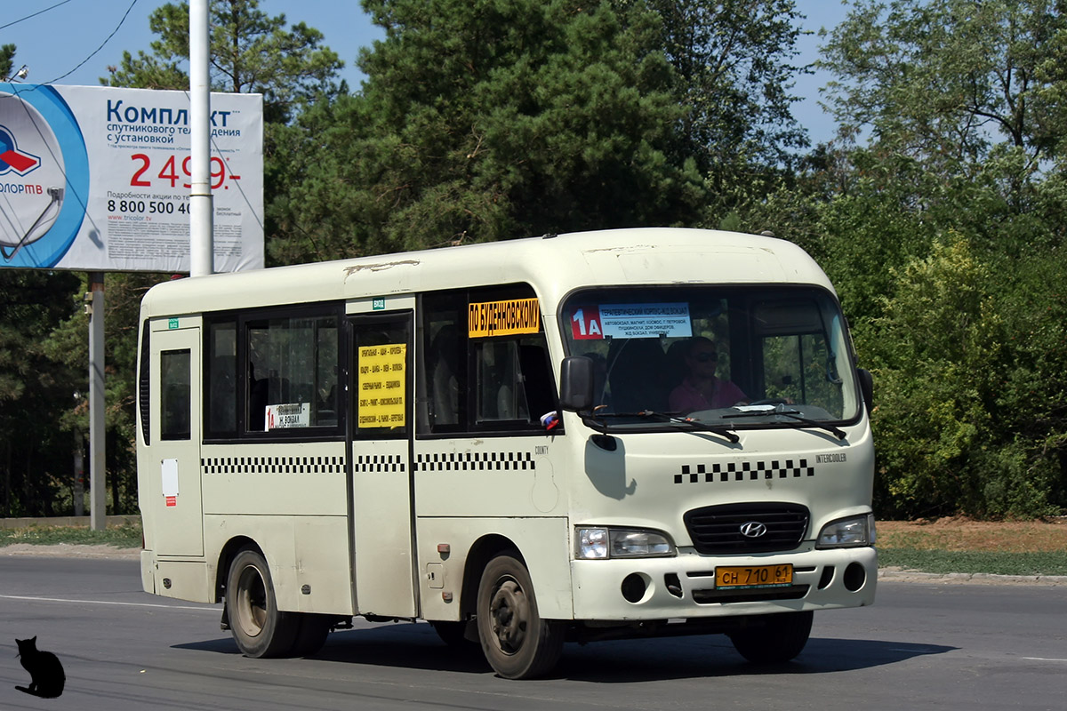 Ростовская область, Hyundai County SWB C08 (РЗГА) № СН 710 61