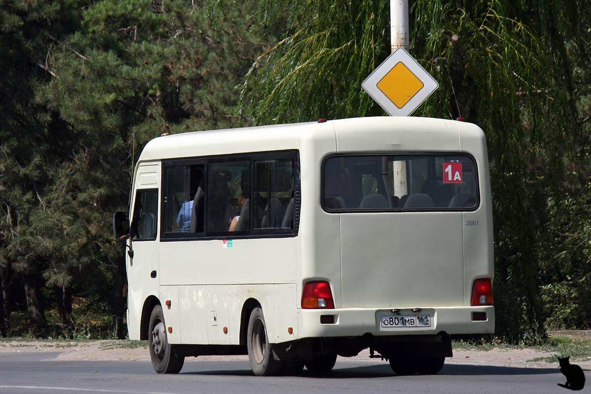 Ростовская область, Hyundai County SWB C08 (РЗГА) № О 801 МВ 161