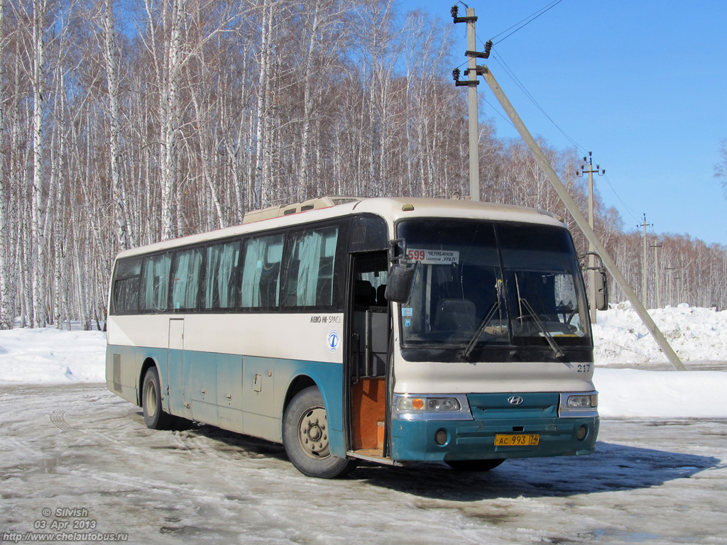 Chelyabinsk region, Hyundai Aero Hi-Space Nr. 217