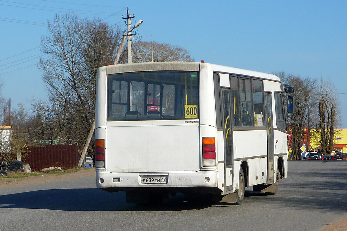 Санкт-Петербург, ПАЗ-320402-05 № 146