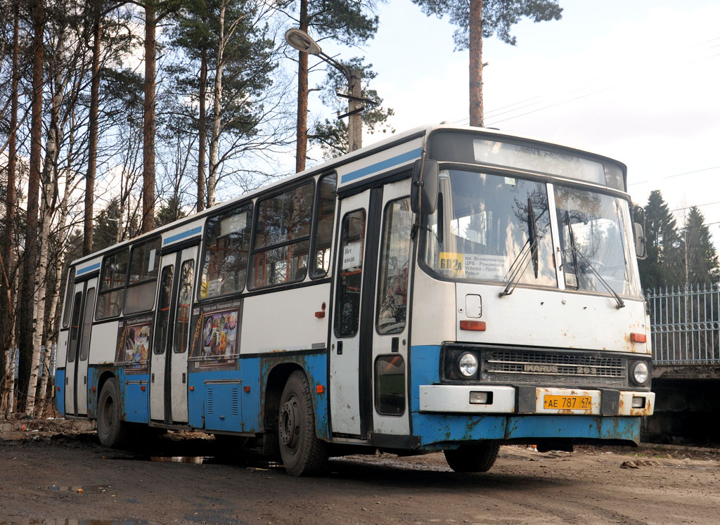 Ленинградская область, Ikarus 263.10 № АЕ 787 47