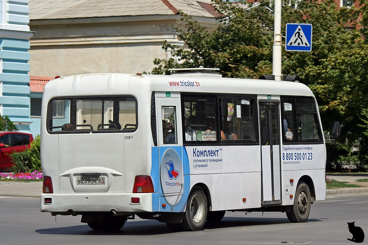 Ростовская область, Hyundai County LWB (ТагАЗ) № 005