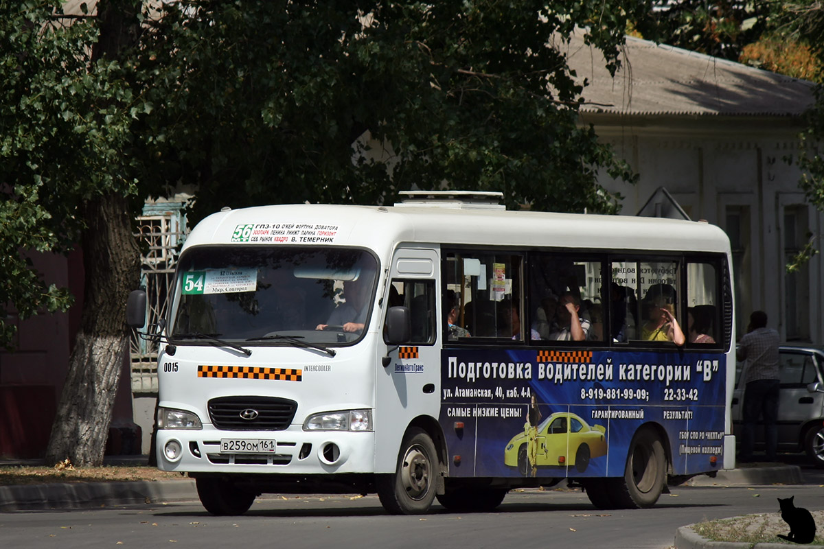 Ростовская область, Hyundai County LWB C11 (ТагАЗ) № 0015